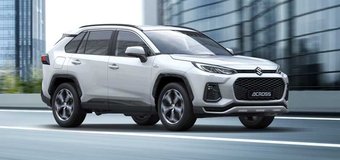 Plug-in Hybrid