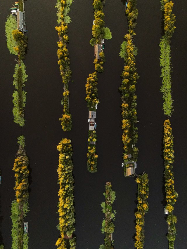 yente-van-eynde-8uDEGh2x3ss-unsplash