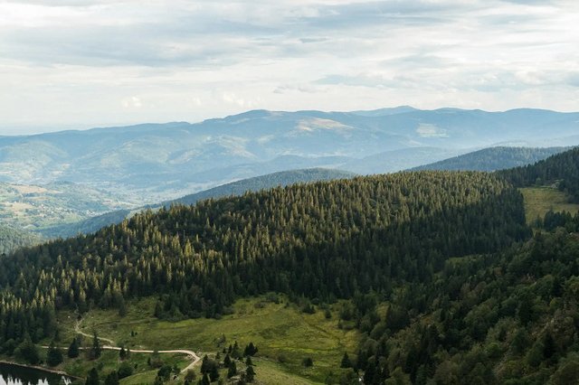raphael-brun-OY5zbCCrWN4-unsplash