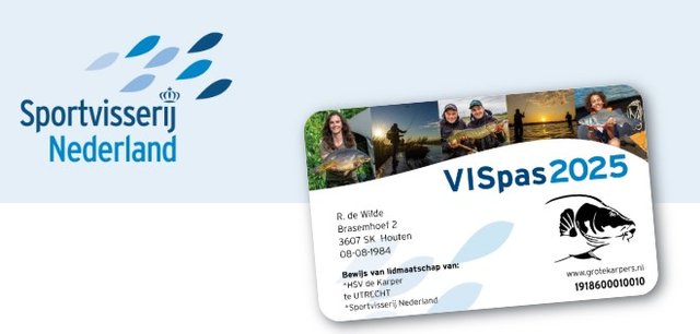 vispas-2024