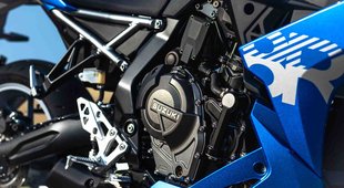 GSX800FRQM4_action_15