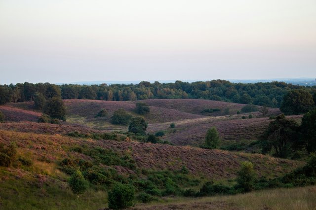 jonne-laagland-winder-kBhHSlOdW5E-unsplash