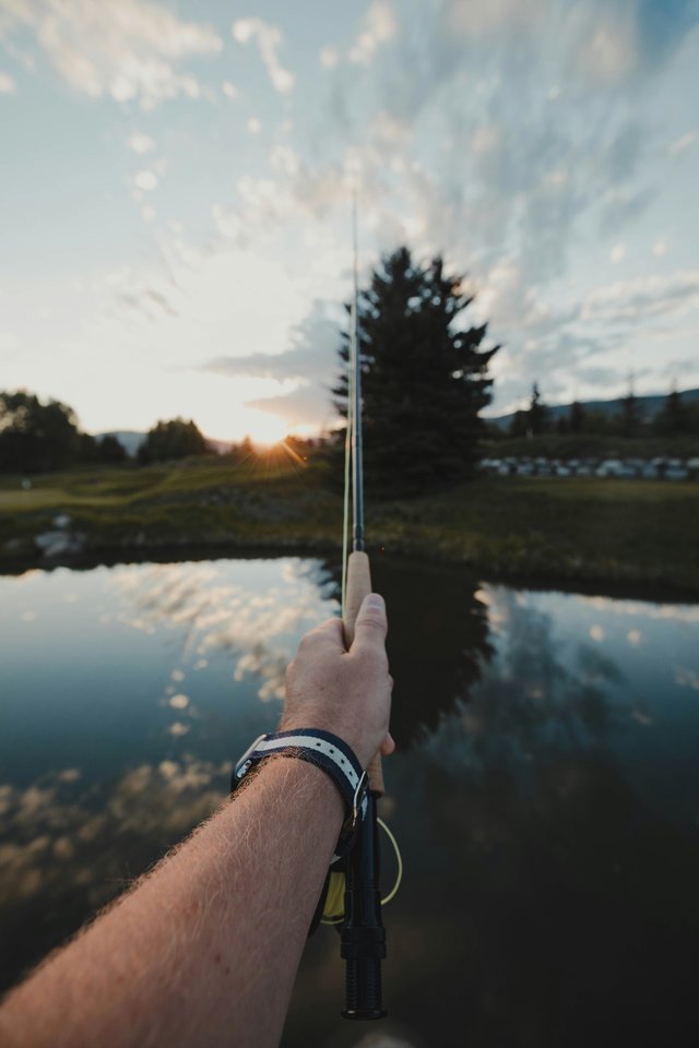 matthew-mcbrayer-mO-RqkngnR0-unsplash