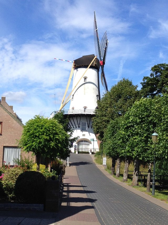 dorangemolen-380112_1280