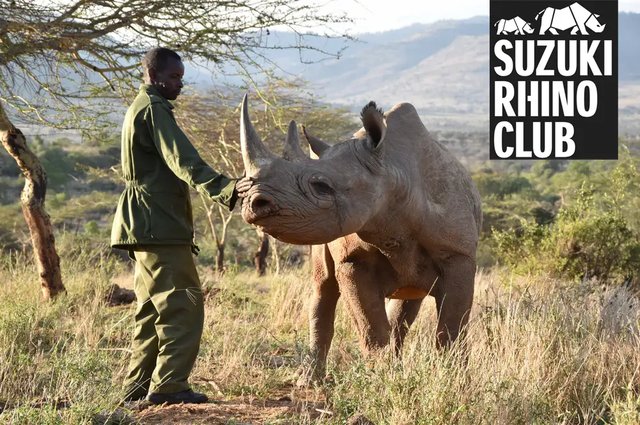 Suzuki_Rhino_Club